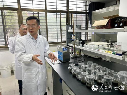 东华科技媒体开放日 新材料技术研发引领行业新篇章